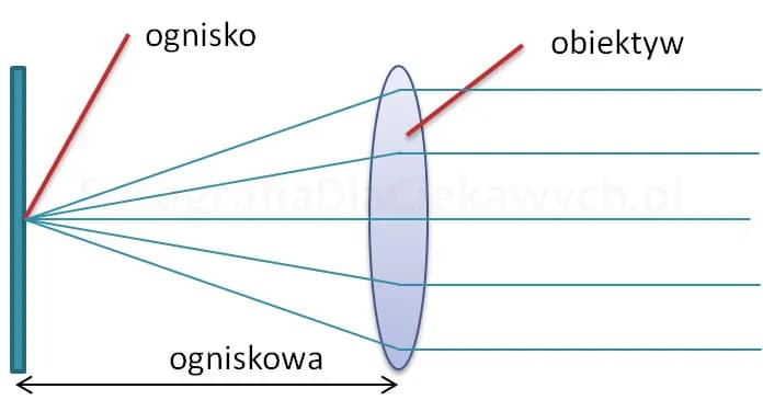 Ogniskowa obiektywu: magiczny klucz do idealnych zdjęć bez tajemnic Ogniskowa obiektywu: magiczny klucz do idealnych zdjęć bez tajemnic