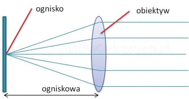Ogniskowa obiektywu: magiczny klucz do idealnych zdjęć bez tajemnic Ogniskowa obiektywu: magiczny klucz do idealnych zdjęć bez tajemnic