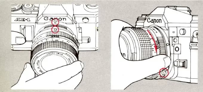 Samowyzwalacz w aparacie Canon: Prosty sposób na idealne zdjęcia grupowe Samowyzwalacz w aparacie Canon: Prosty sposób na idealne zdjęcia grupowe