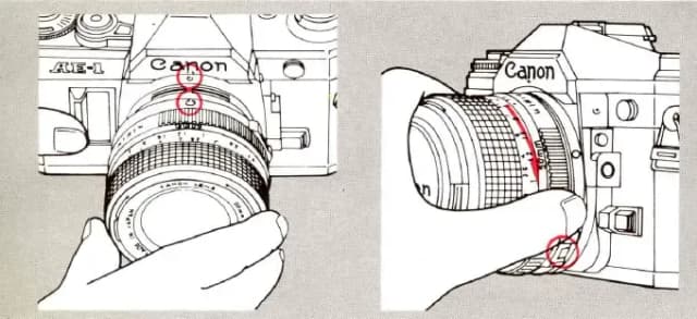 Samowyzwalacz w aparacie Canon: Prosty sposób na idealne zdjęcia grupowe Samowyzwalacz w aparacie Canon: Prosty sposób na idealne zdjęcia grupowe