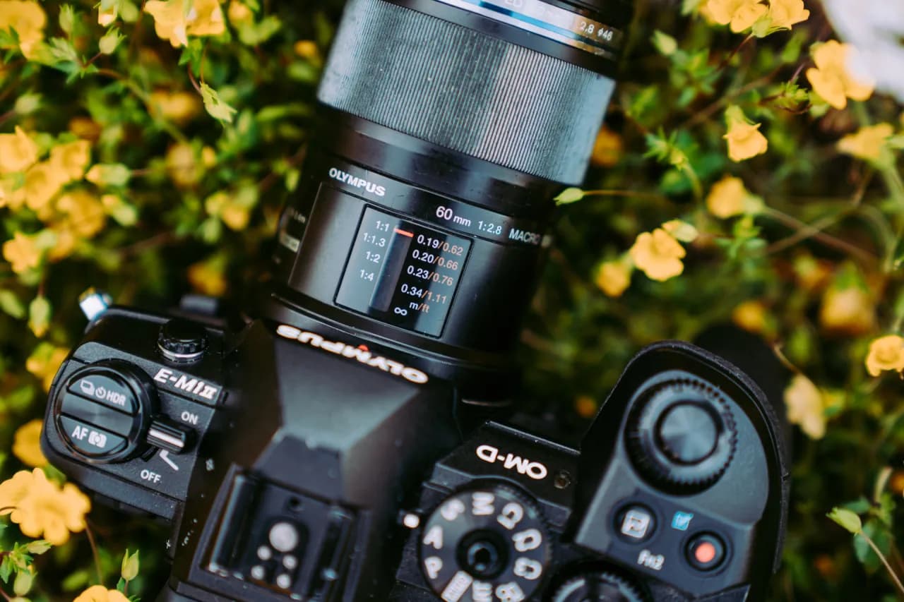 Najlepsze obiektywy makro – jak nie przepłacić i zrobić oszałamiające zdjęcia Najlepsze obiektywy makro – jak nie przepłacić i zrobić oszałamiające zdjęcia