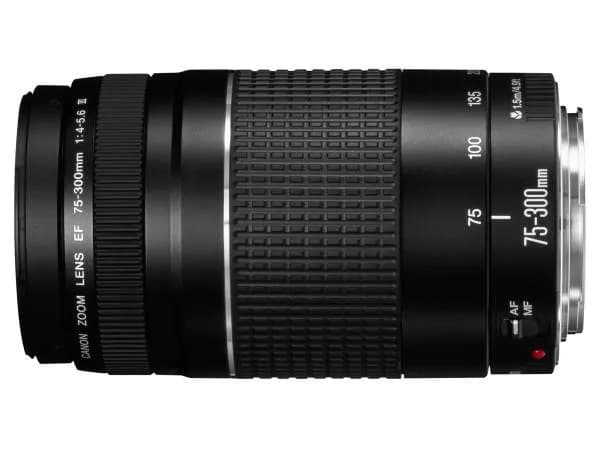 Obiektyw 75-300 mm: Rewelacyjne zastosowania w różnych rodzajach fotografii Obiektyw 75-300 mm: Rewelacyjne zastosowania w różnych rodzajach fotografii