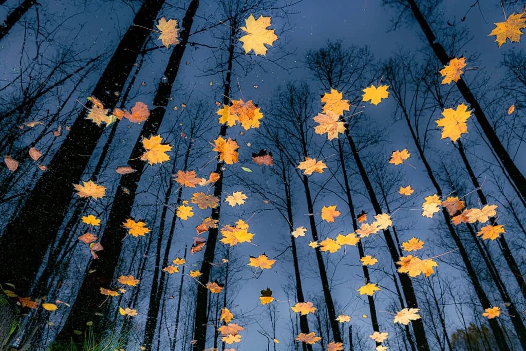 Co to jest fotograf i jakie umiejętności są niezbędne w tej pracy? Co to jest fotograf i jakie umiejętności są niezbędne w tej pracy?