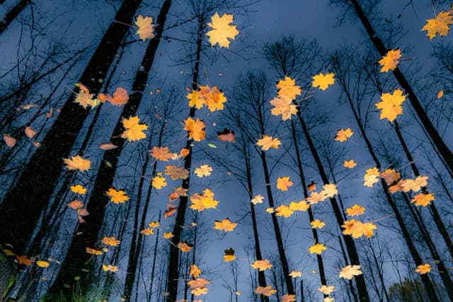 Co to jest fotograf i jakie umiejętności są niezbędne w tej pracy? Co to jest fotograf i jakie umiejętności są niezbędne w tej pracy?